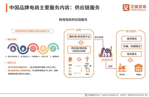 2023年中国品牌电商服务行业研究报告 信息咨询服务深度解析